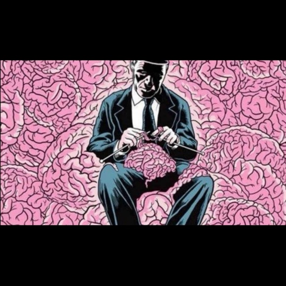 Meet your Posher, Bella - Picture 1 of 1